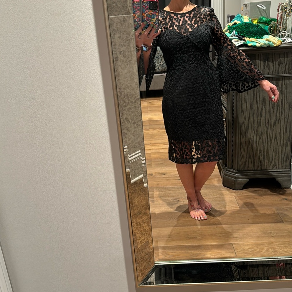 Alexia Admor little back dress